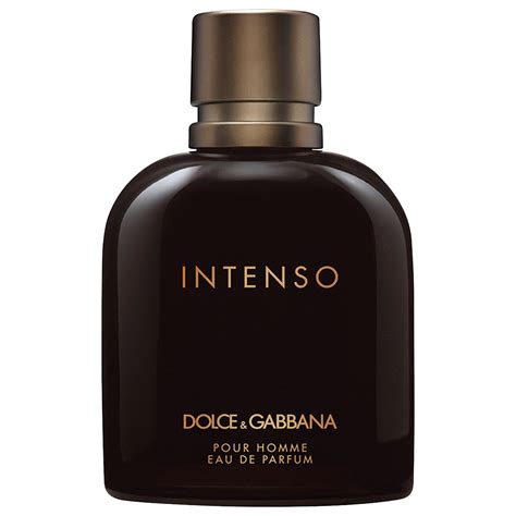 dolce gabbana intenso cologne review|dolce and gabbana intenso notes.